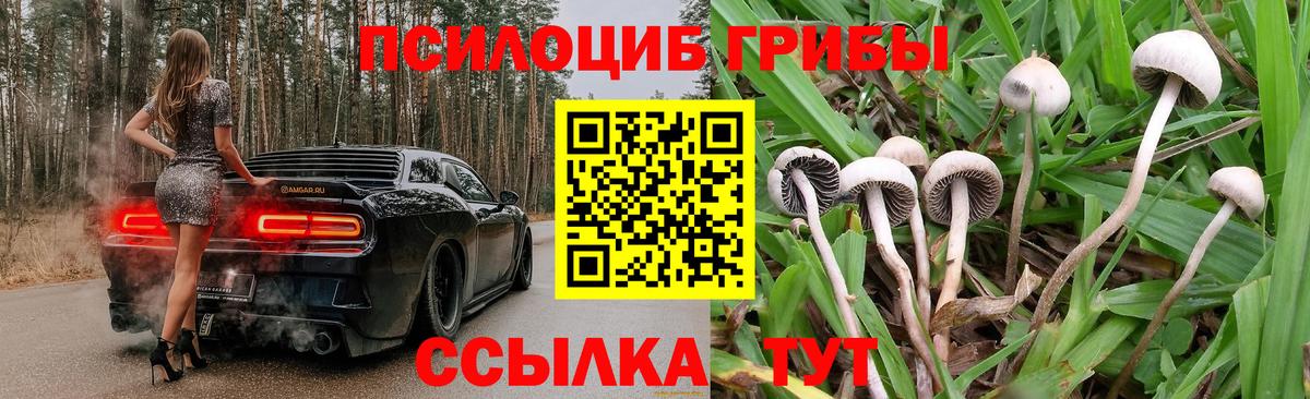 Псилоцибиновые грибы MAGIC MUSHROOMS  Вход с VPN  Вятские Поляны  Галлюциногенные грибы мицелий 